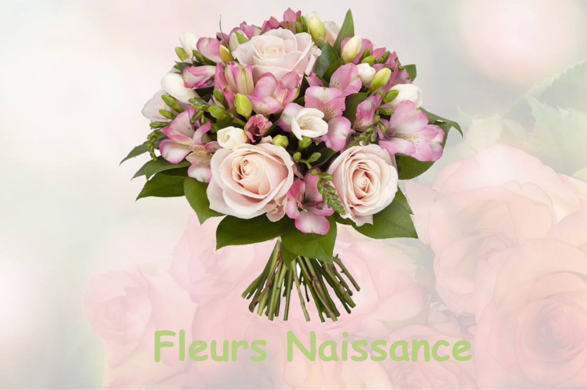 fleurs naissance LOUER