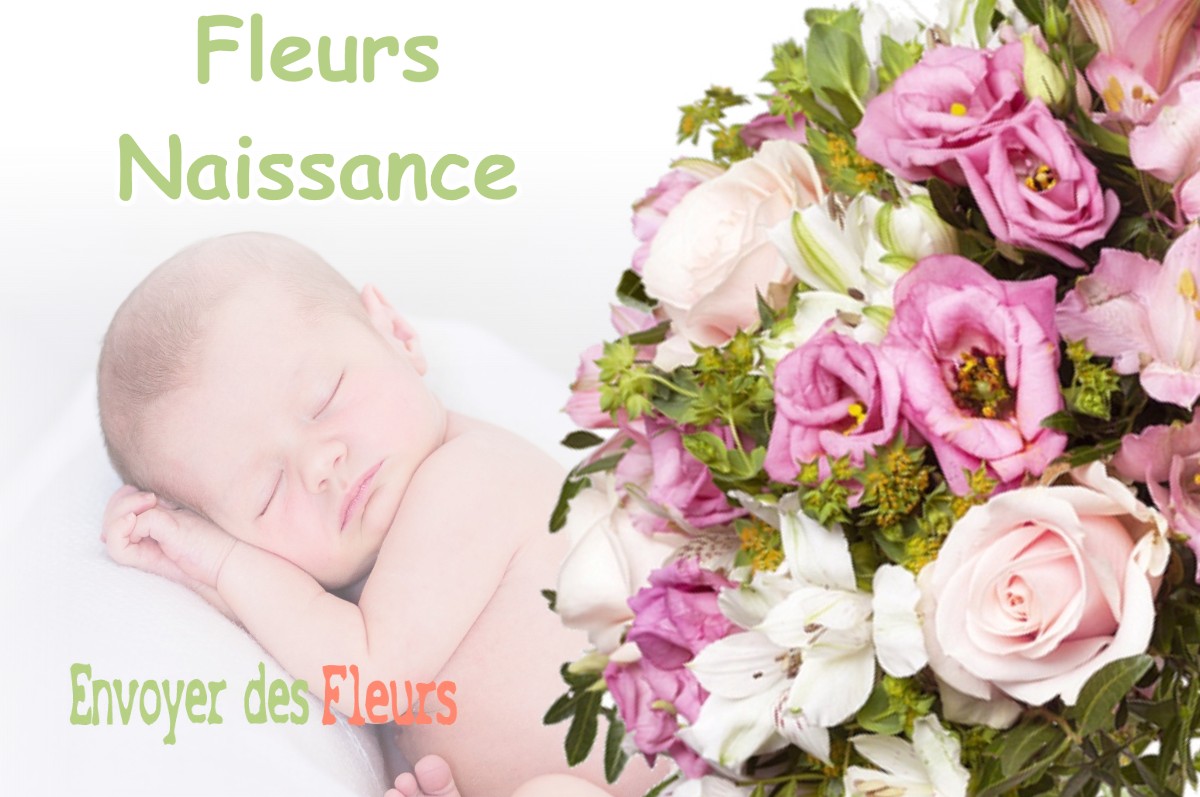 lIVRAISON FLEURS NAISSANCE à LOUER